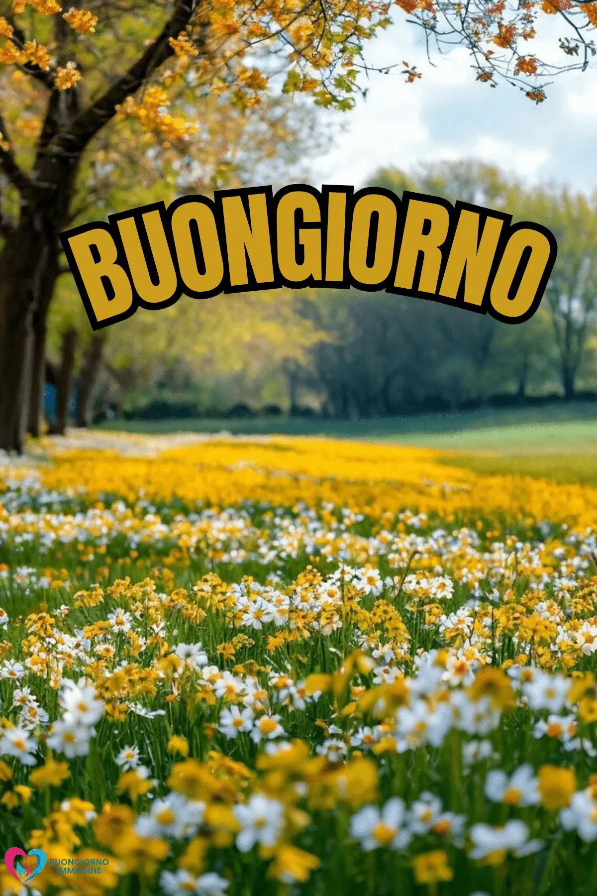 buongiorno con i fiori e frasi belle per buongiorno