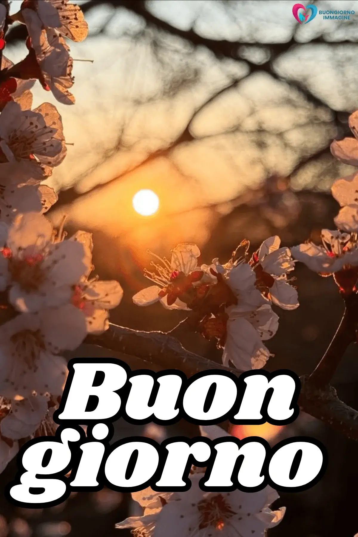 buongiorno con i fiori e frasi romantiche per whatsapp
