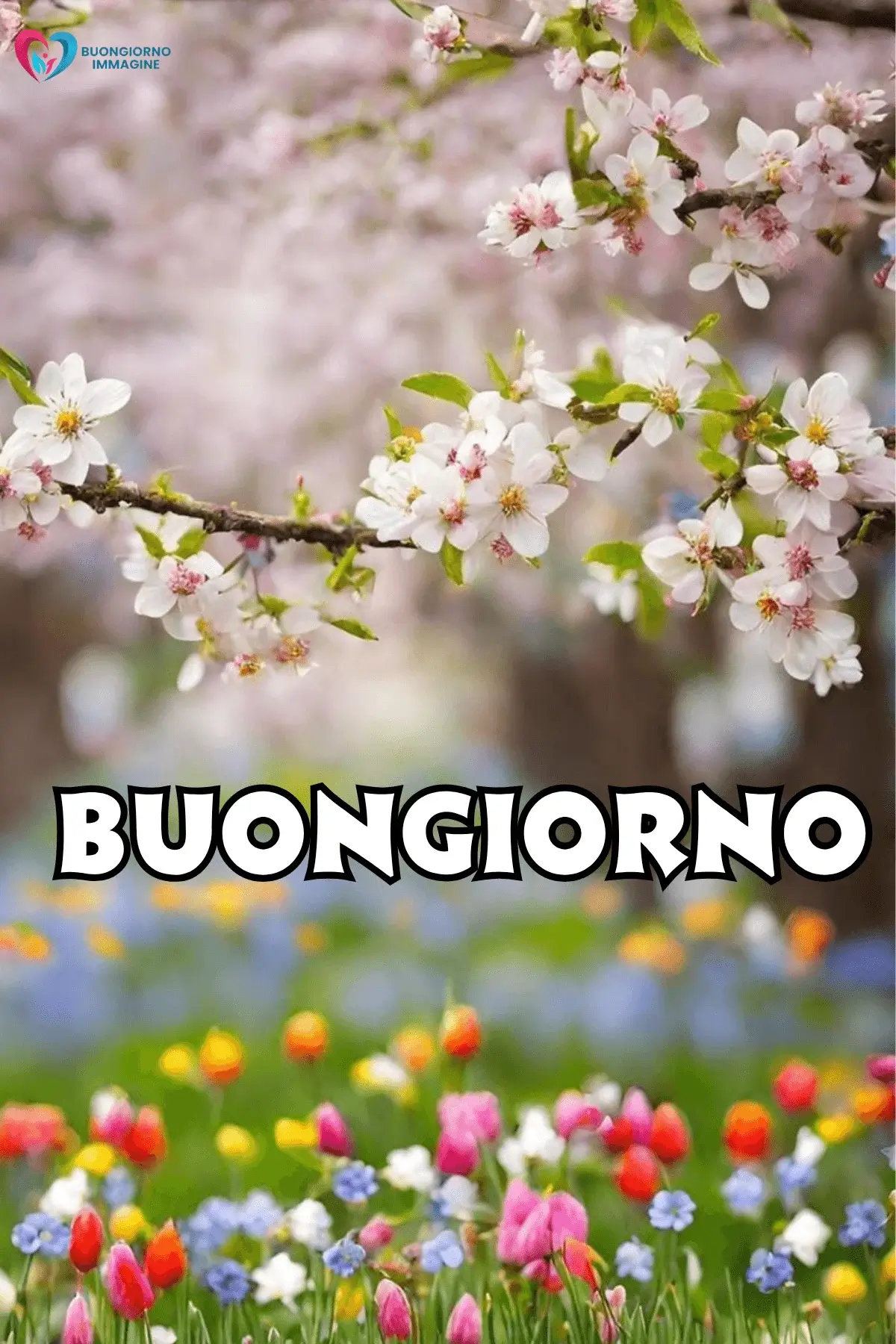 buongiorno con i fiori e messaggi accoglienti per amici