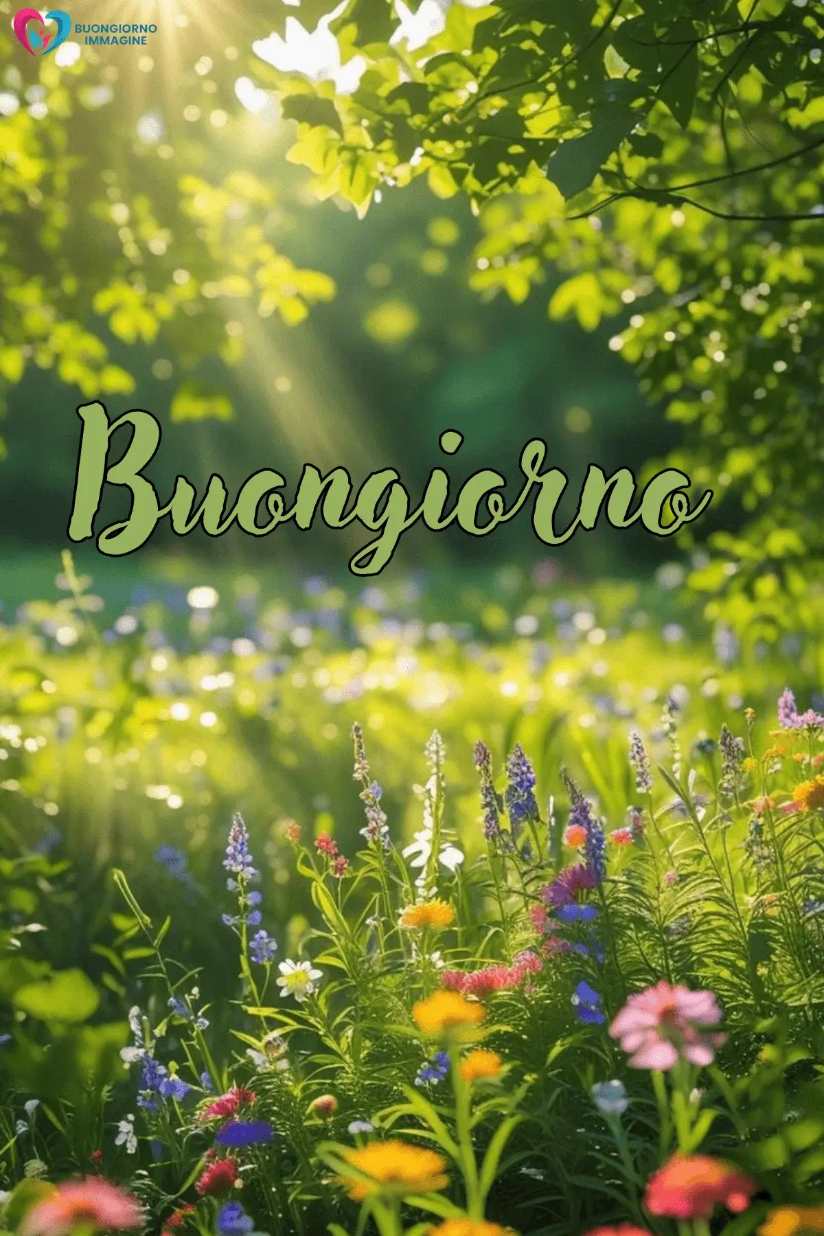 buongiorno con i fiori e messaggi dolci per iniziare la giornata