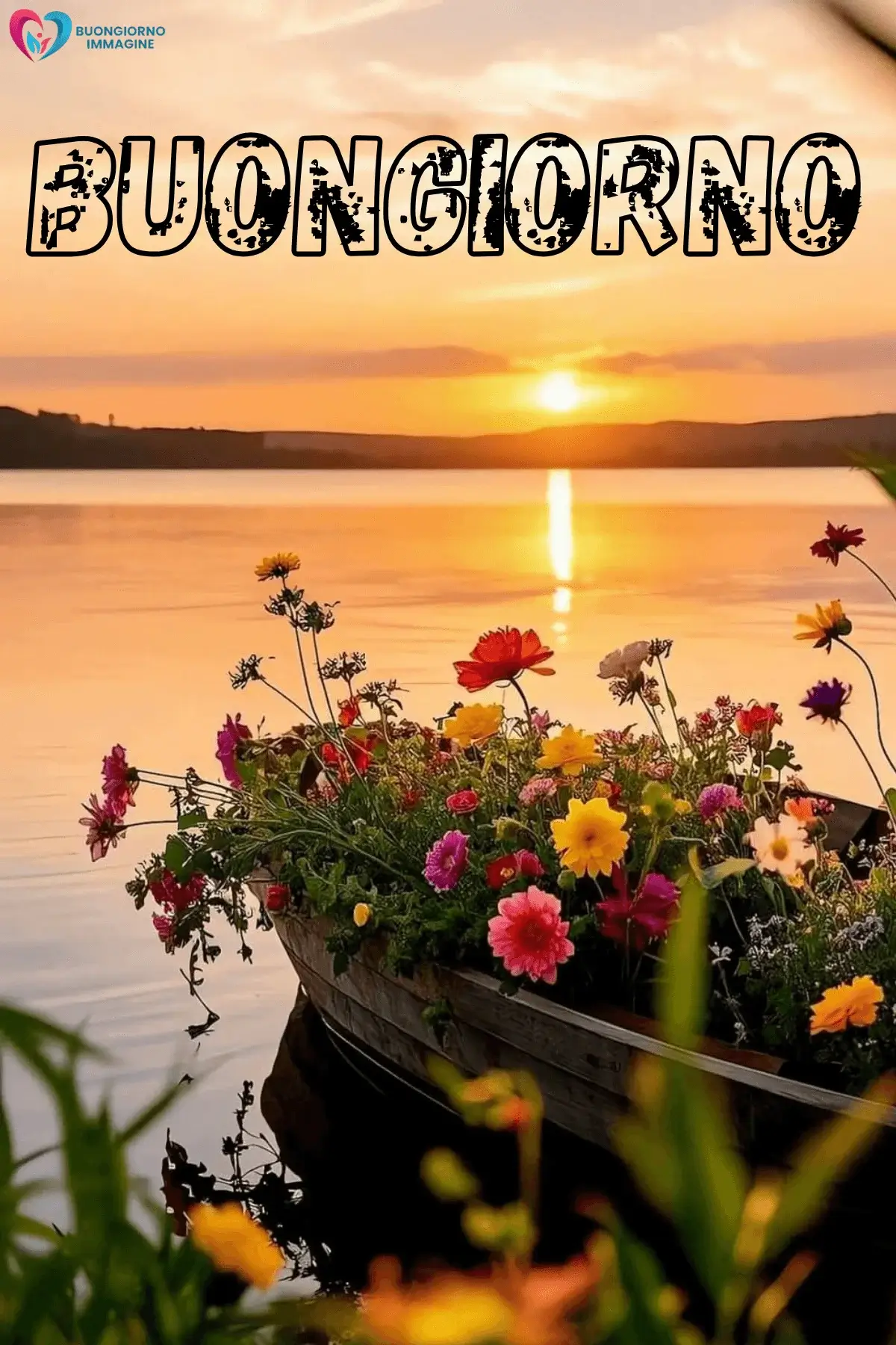 buongiorno con i fiori e parole dolci per social media