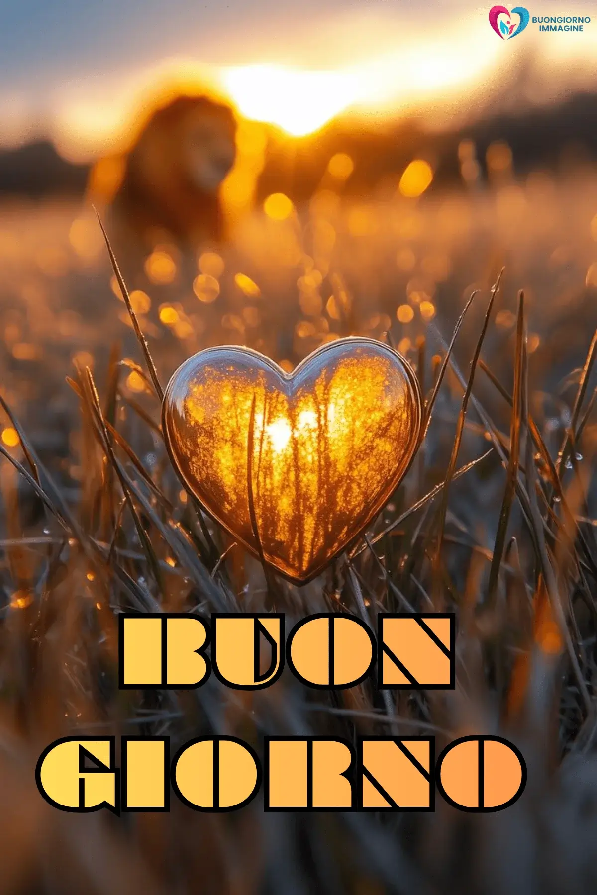 buongiorno cuore immagini fresche aggiornate