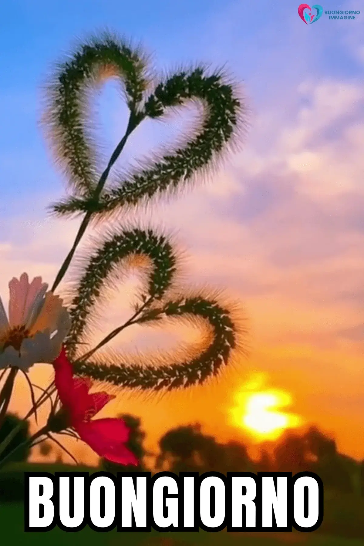 buongiorno cuore immagini per buongiorno speciale
