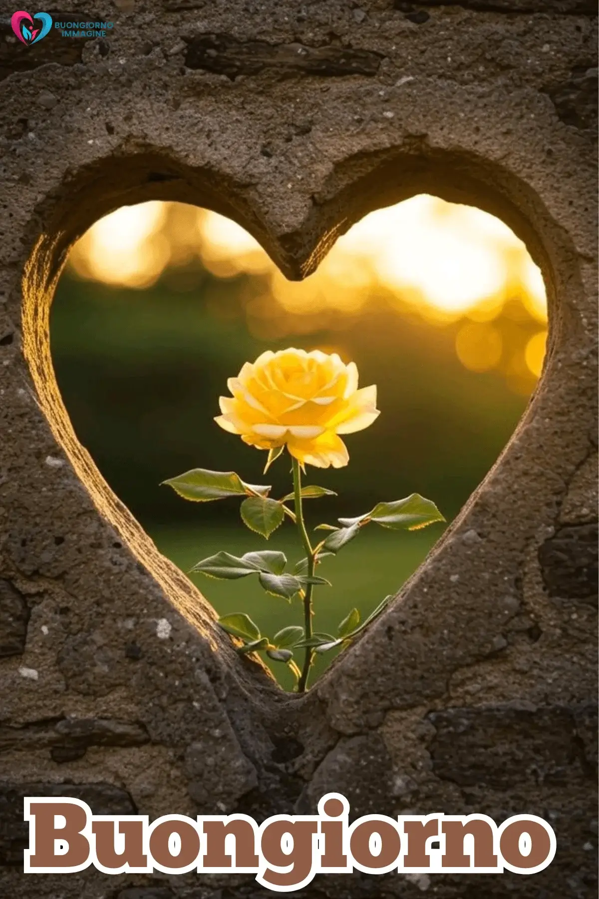 buongiorno cuore immagini recenti e aggiornate.