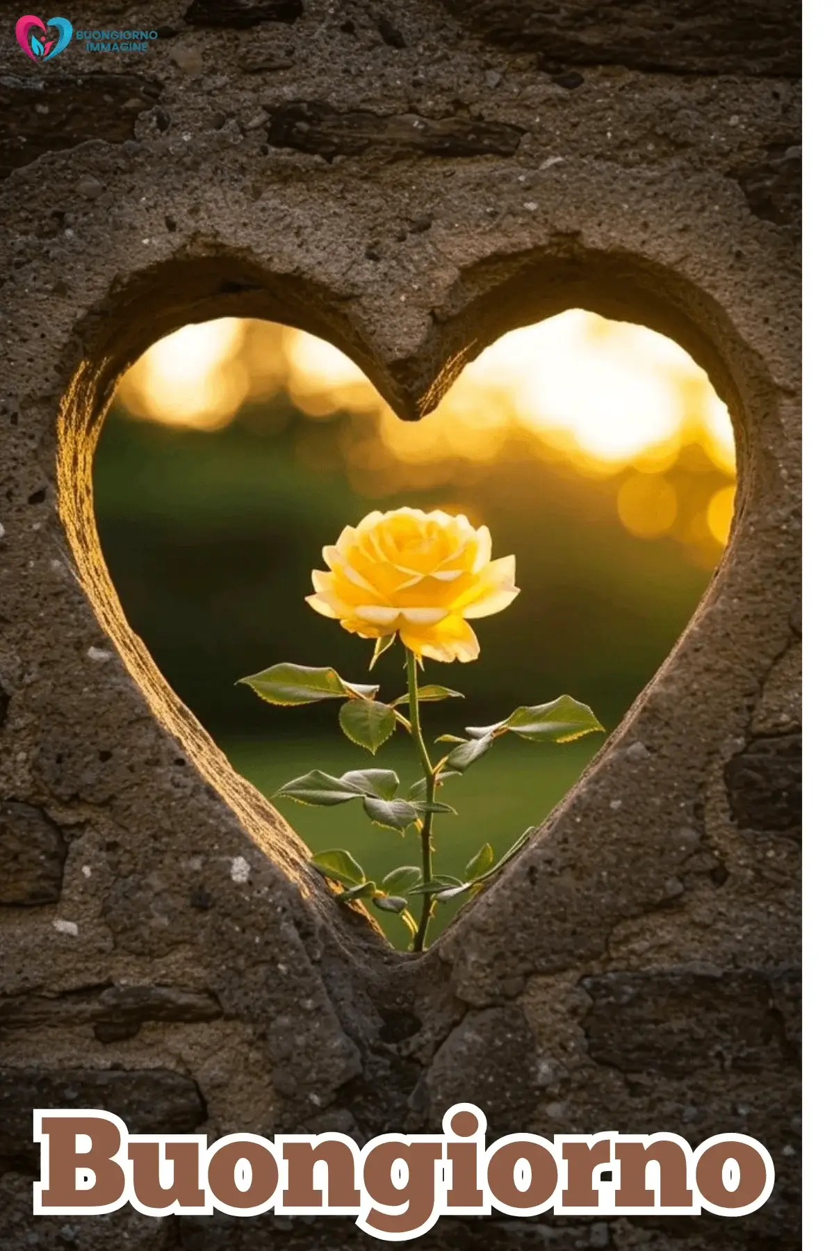 buongiorno cuore immagini recenti e aggiornate — buongiornoimmagine.it