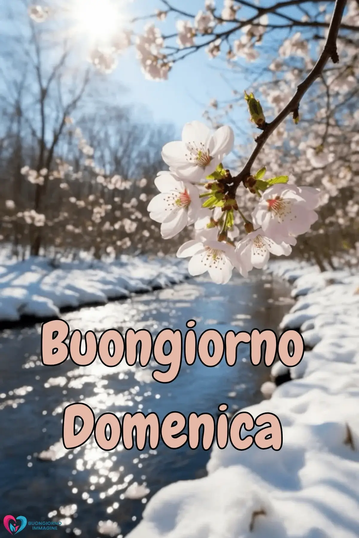 buongiorno domenica immagini download rapido