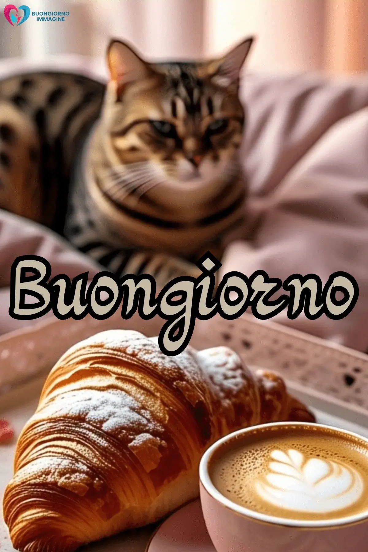 buongiorno gatti immagini colorate
