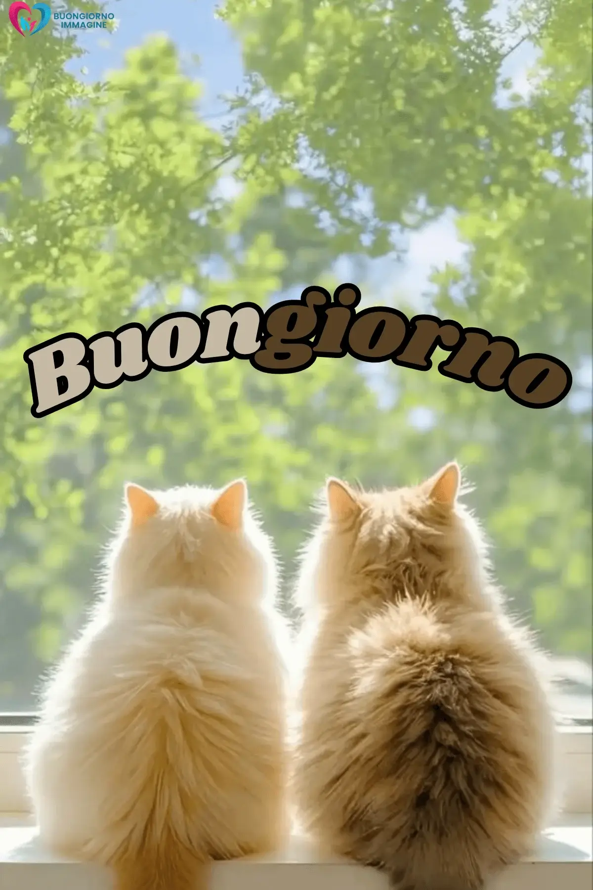 buongiorno gatti immagini comiche gratis