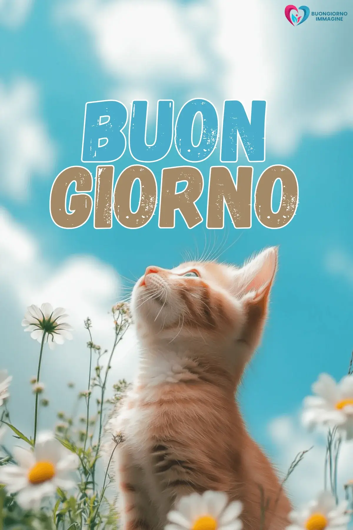 buongiorno gatti immagini da condividere