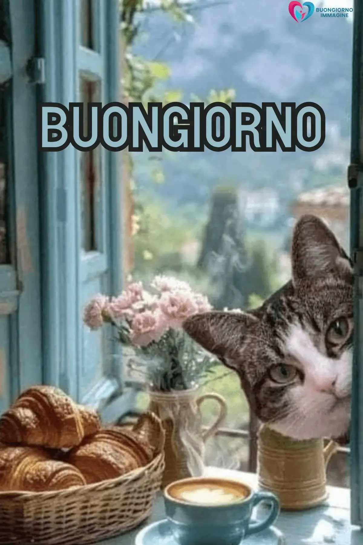 buongiorno gatti immagini serenità mattutina