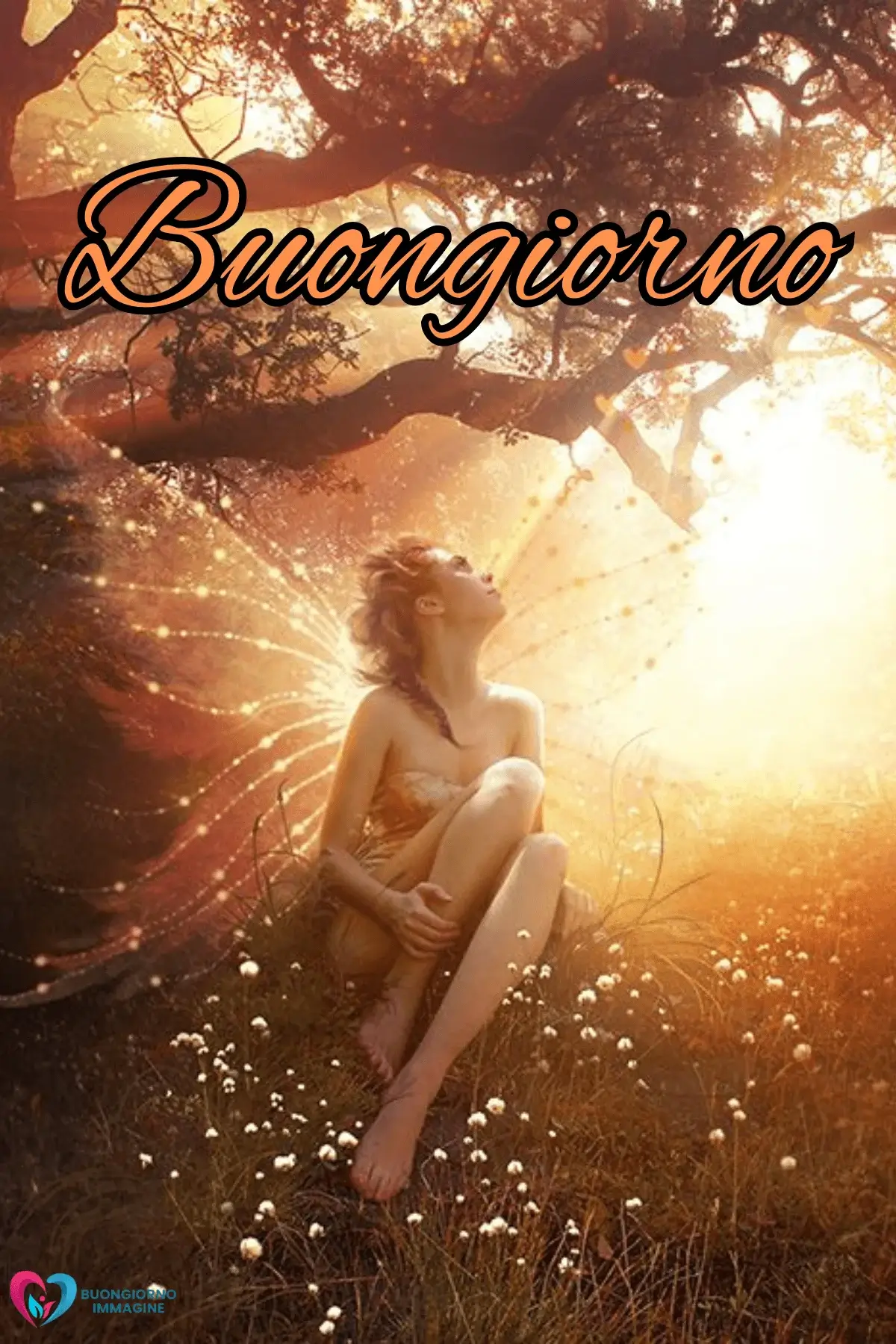 buongiorno immagini fate del sole magiche per whatsapp