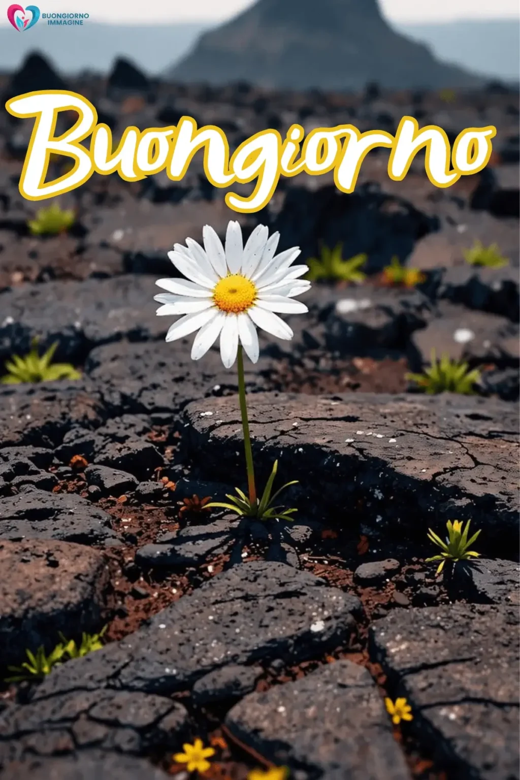 buongiorno immagini speciali gratis con giardino fiorito e farfalle