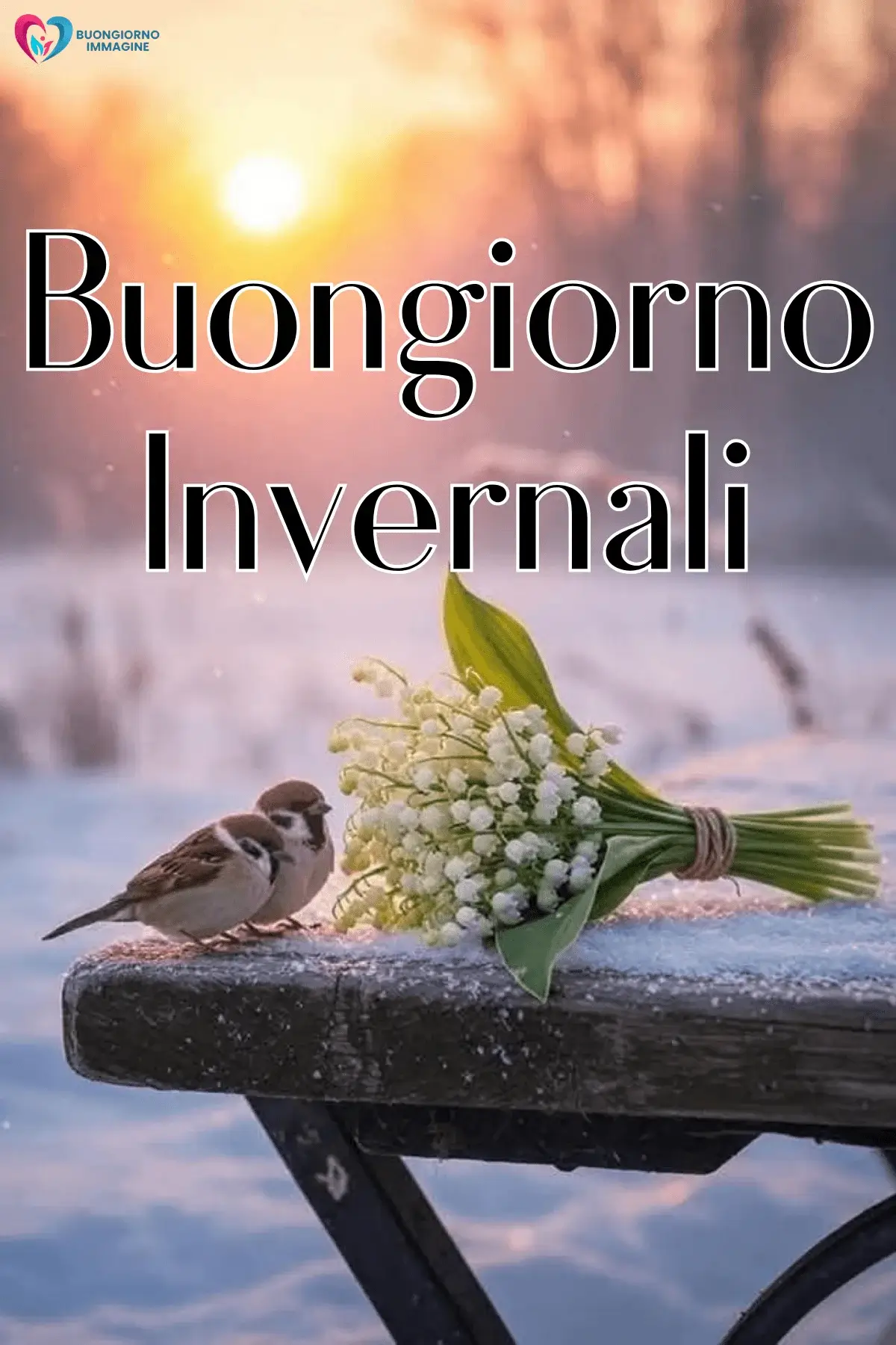 buongiorno inverno immagini bellissime per mattine fredde