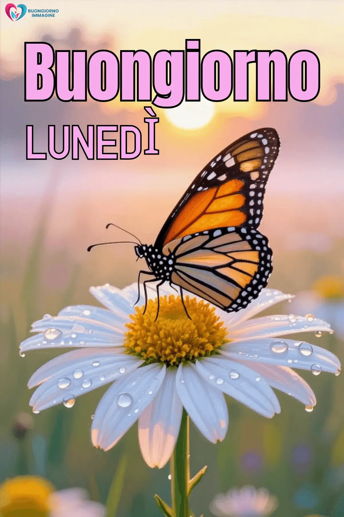 buongiorno lunedì felice immagini download rapido