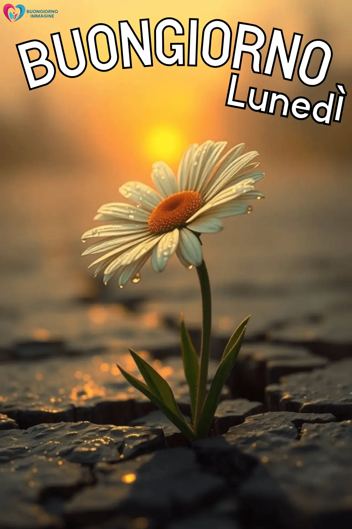 buongiorno lunedì felice immagini inizio settimana