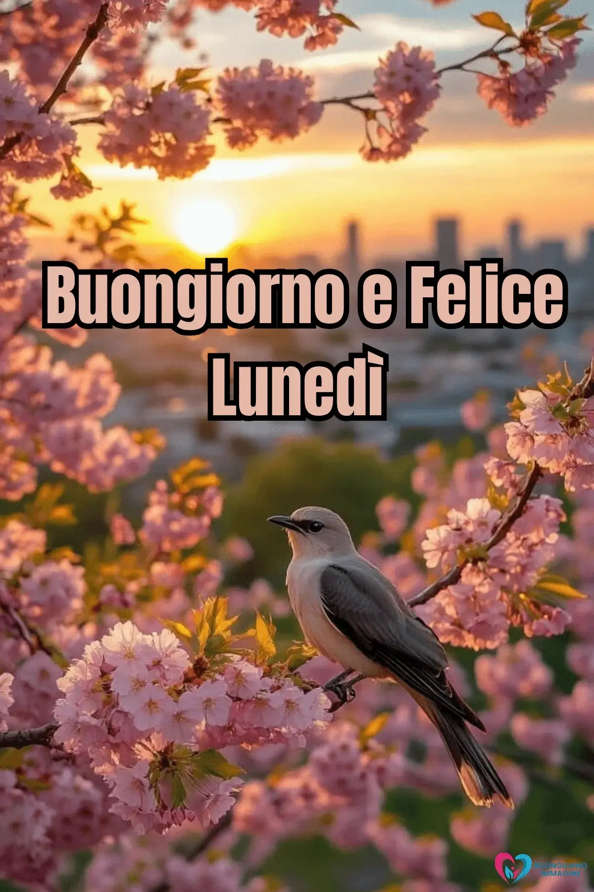 buongiorno lunedì felice immagini motivazionali