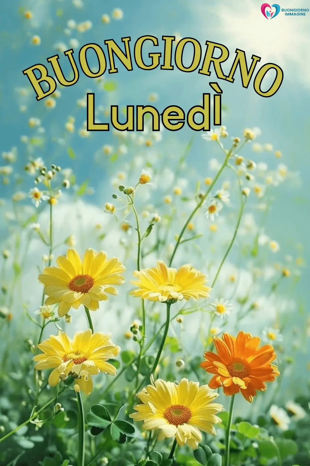 buongiorno lunedì felice immagini social media