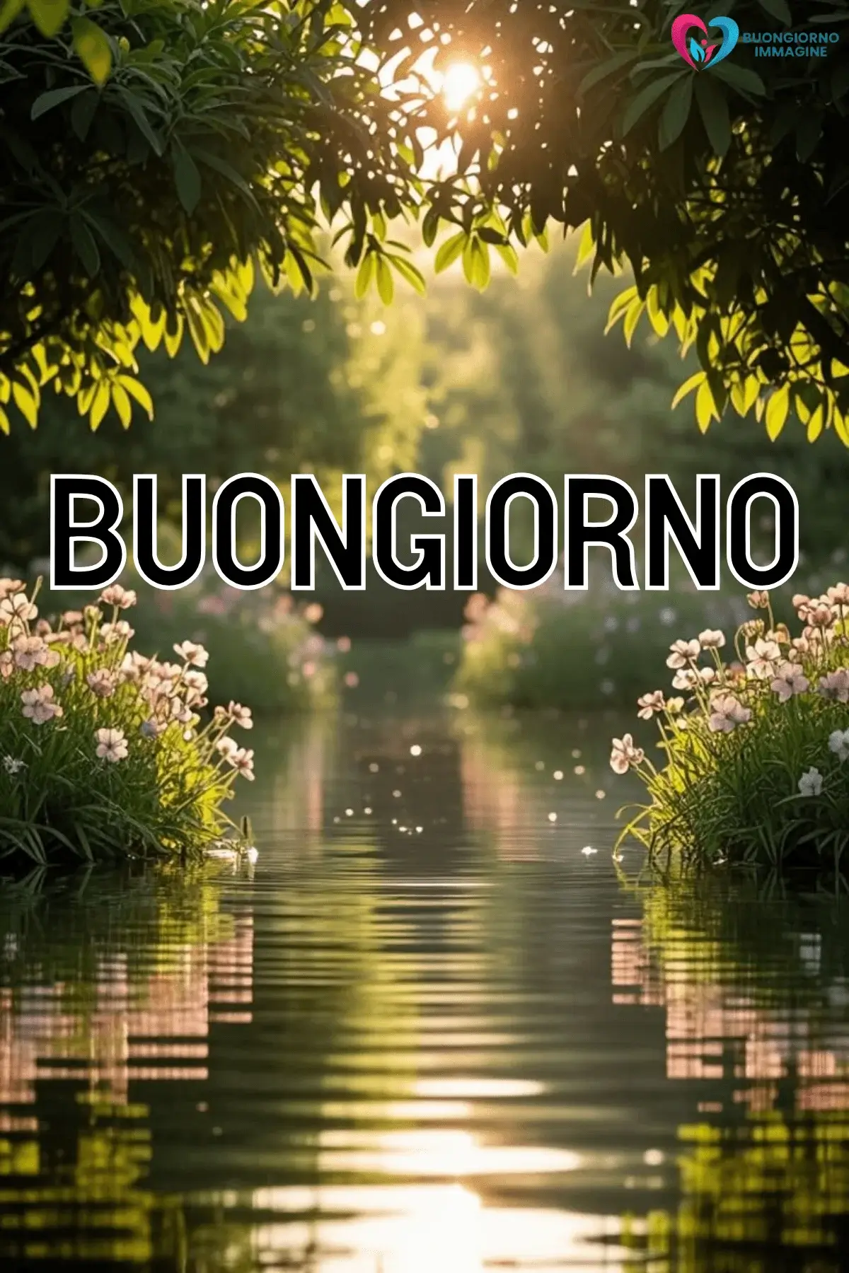 buongiorno pioggia immagini artistiche