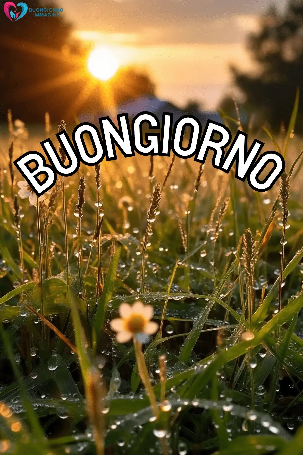 buongiorno pioggia immagini autunnali gratis