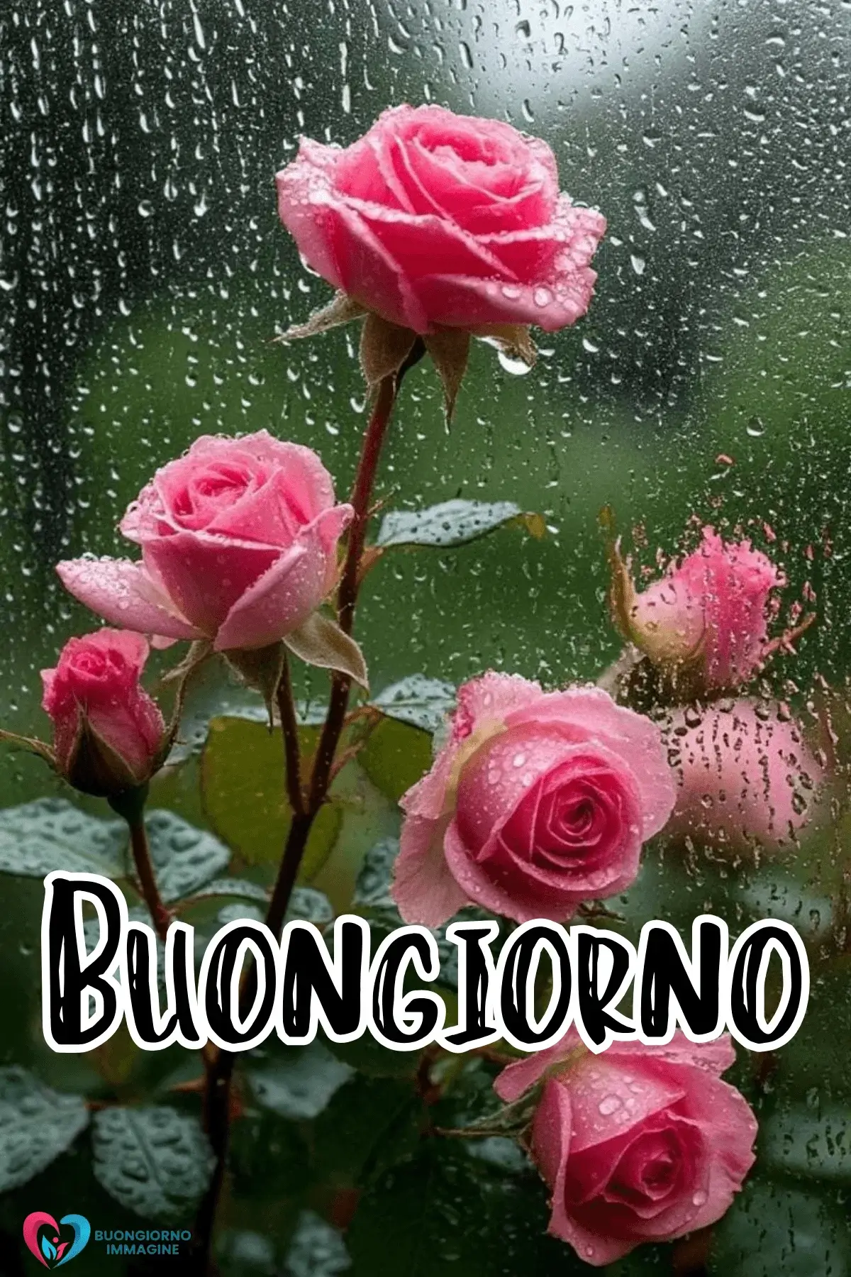 buongiorno pioggia immagini con citazioni