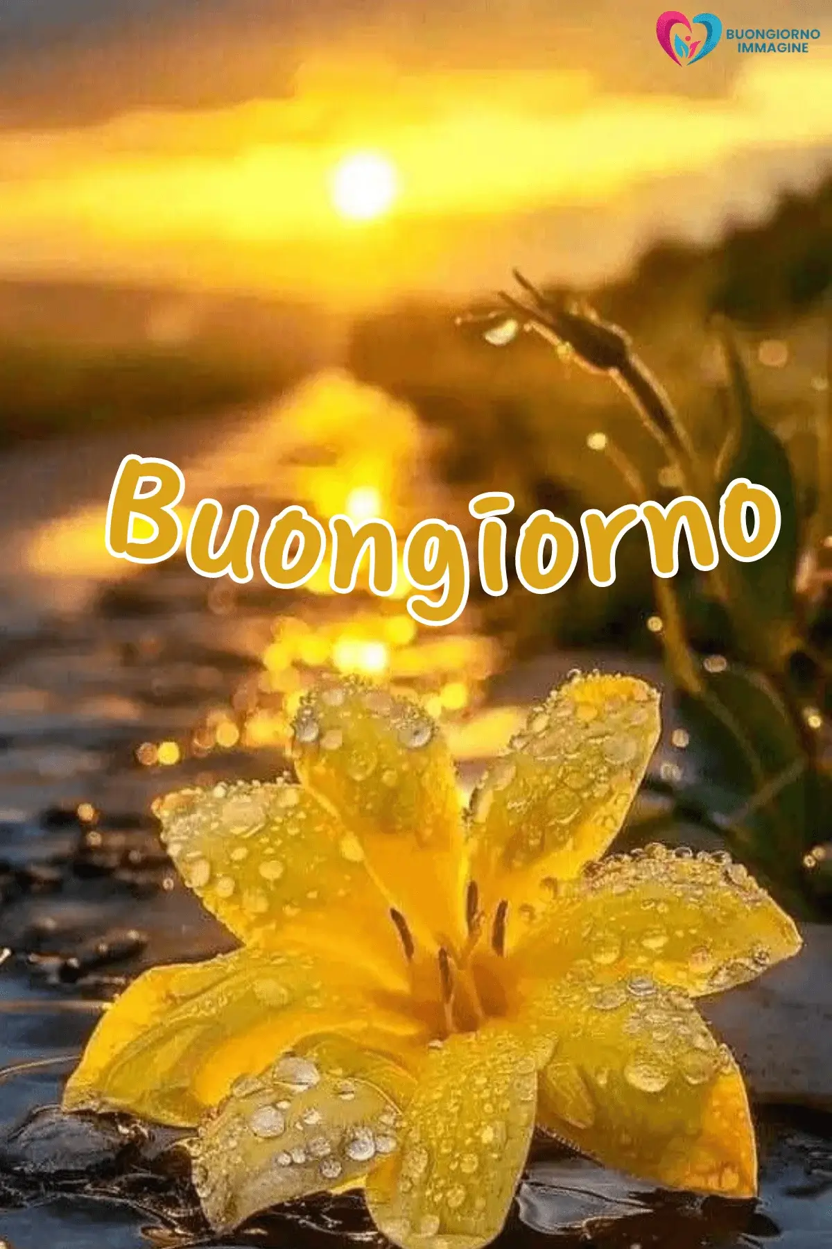buongiorno pioggia immagini eleganti