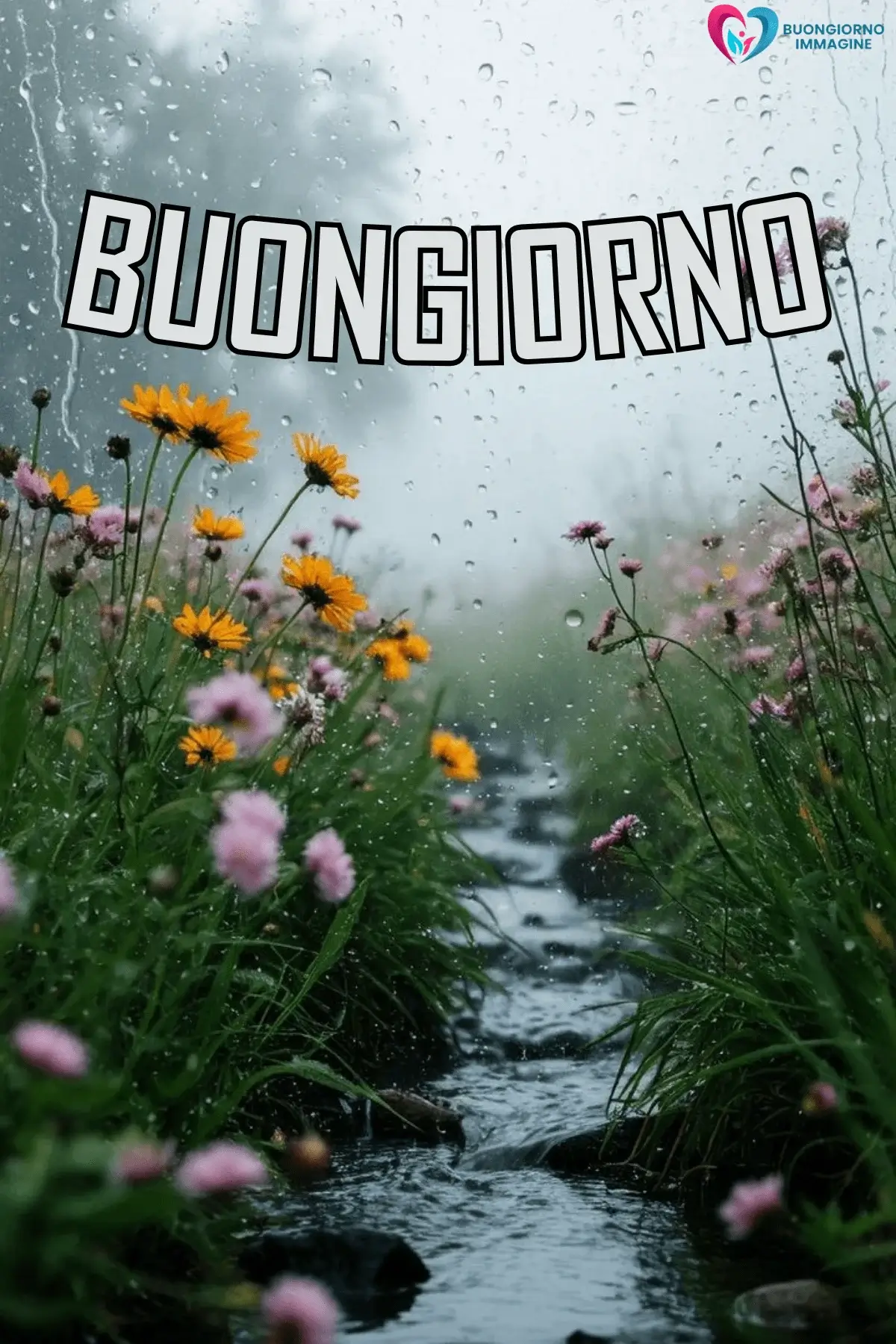 buongiorno pioggia immagini fresche e nuove