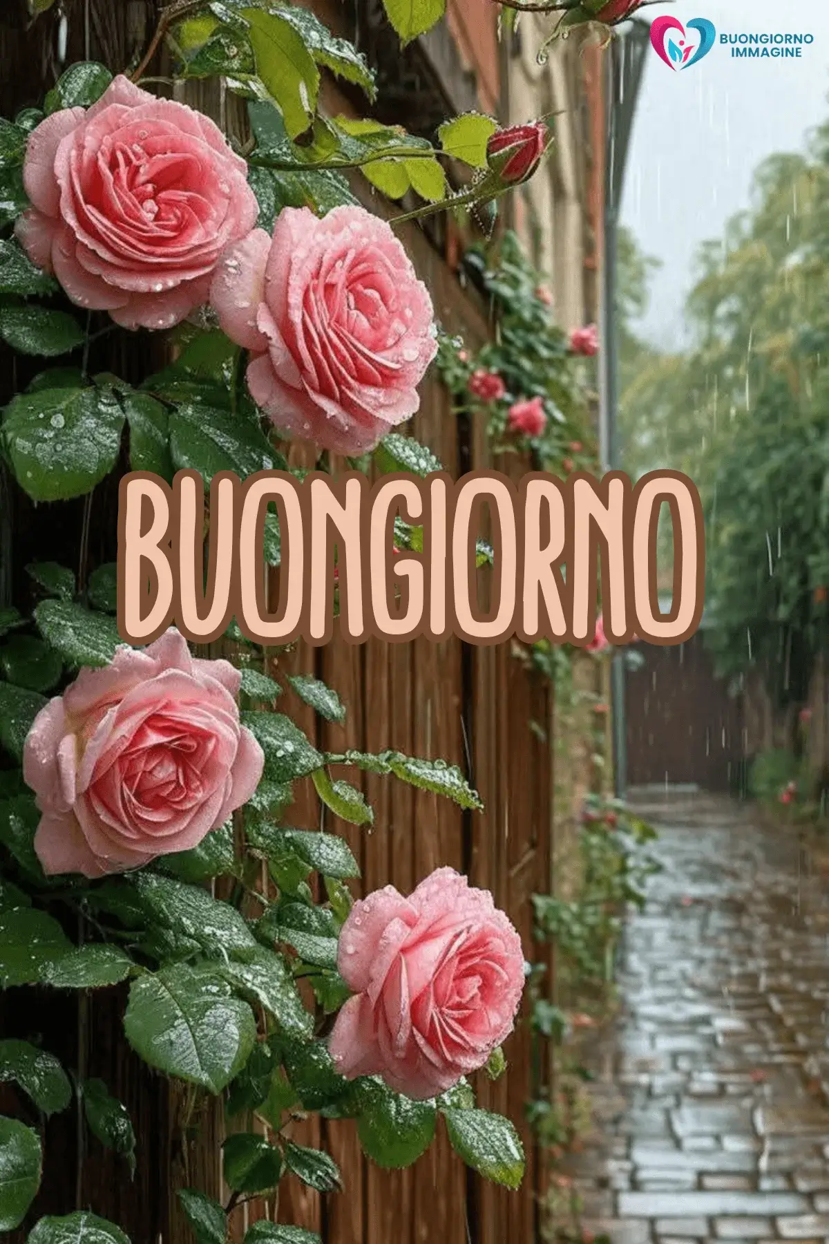 buongiorno pioggia immagini mattina tranquilla