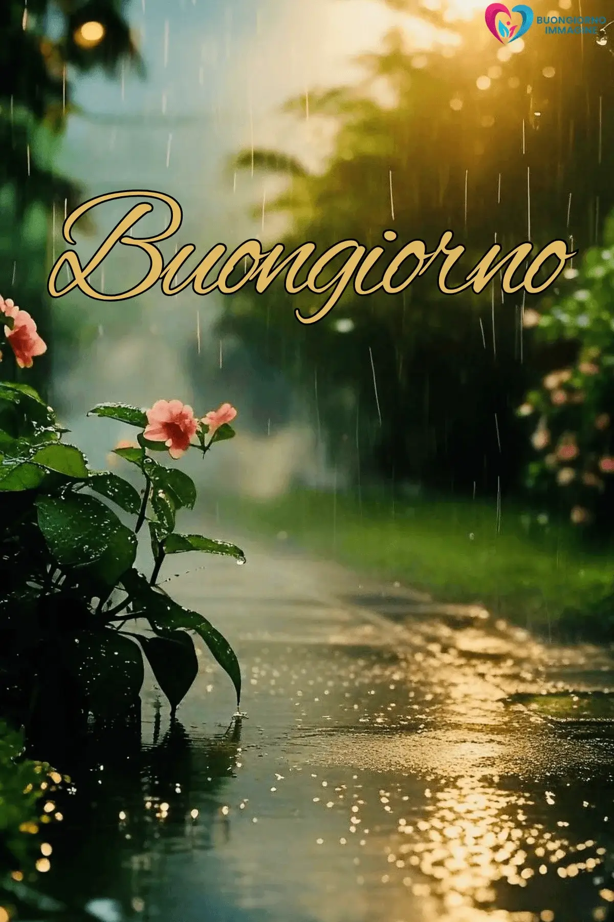 buongiorno pioggia immagini nuove