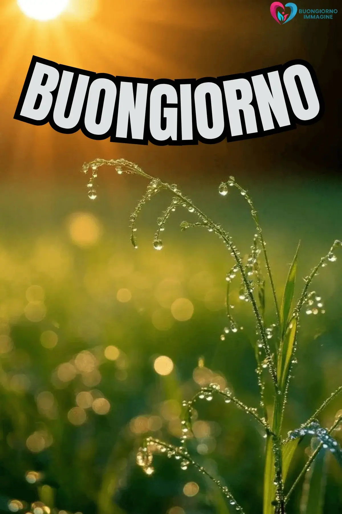 buongiorno pioggia immagini soft e calmanti