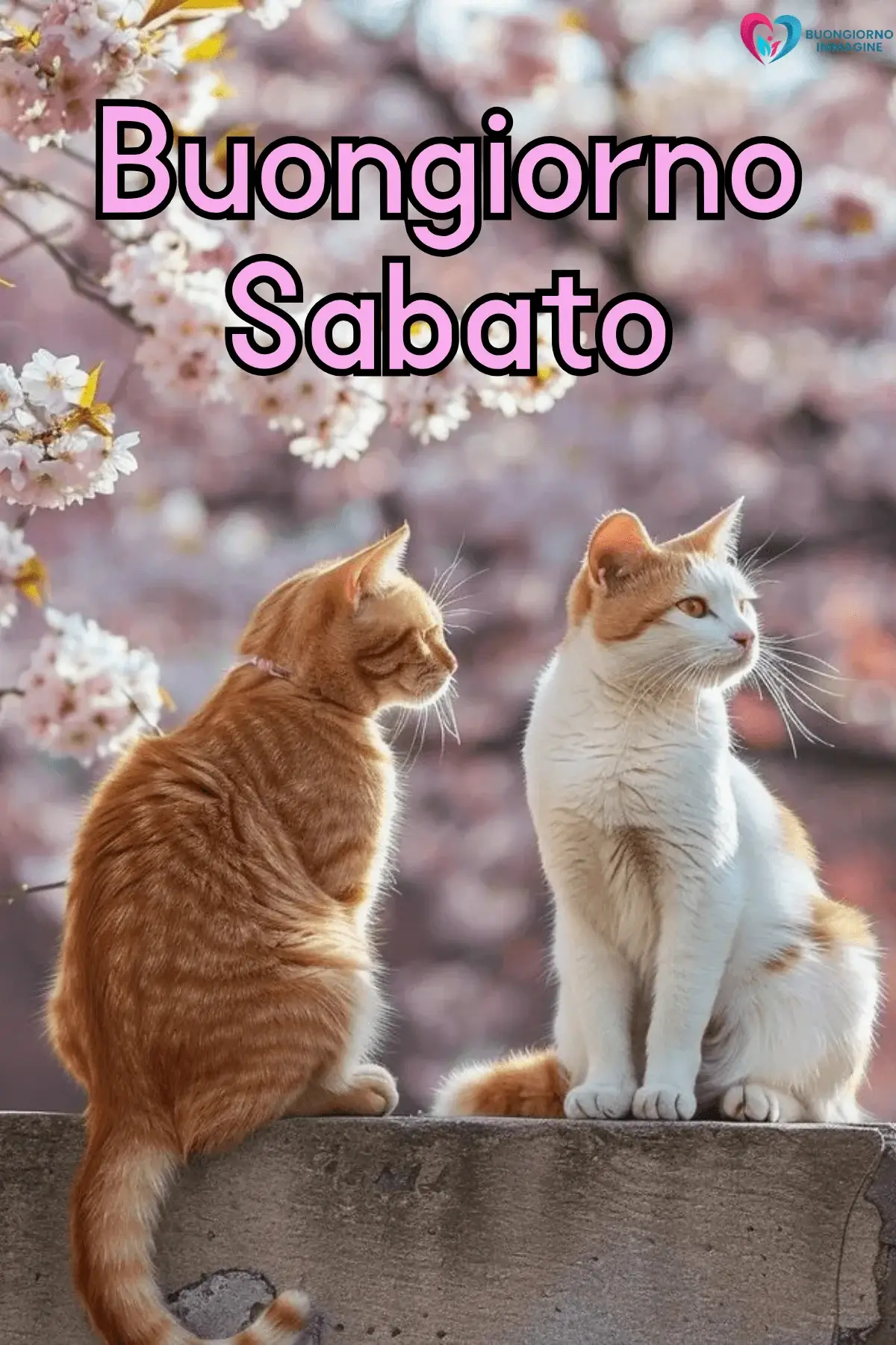buongiorno sabato immagini fresche e nuove
