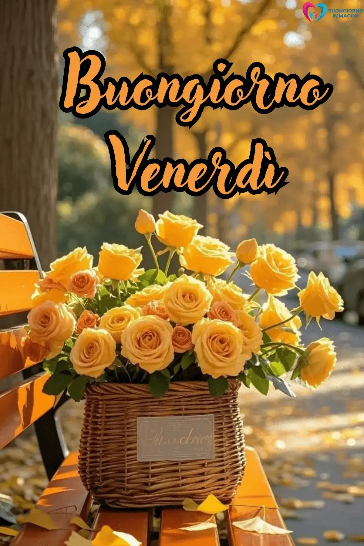 buongiorno venerdì immagini download veloce