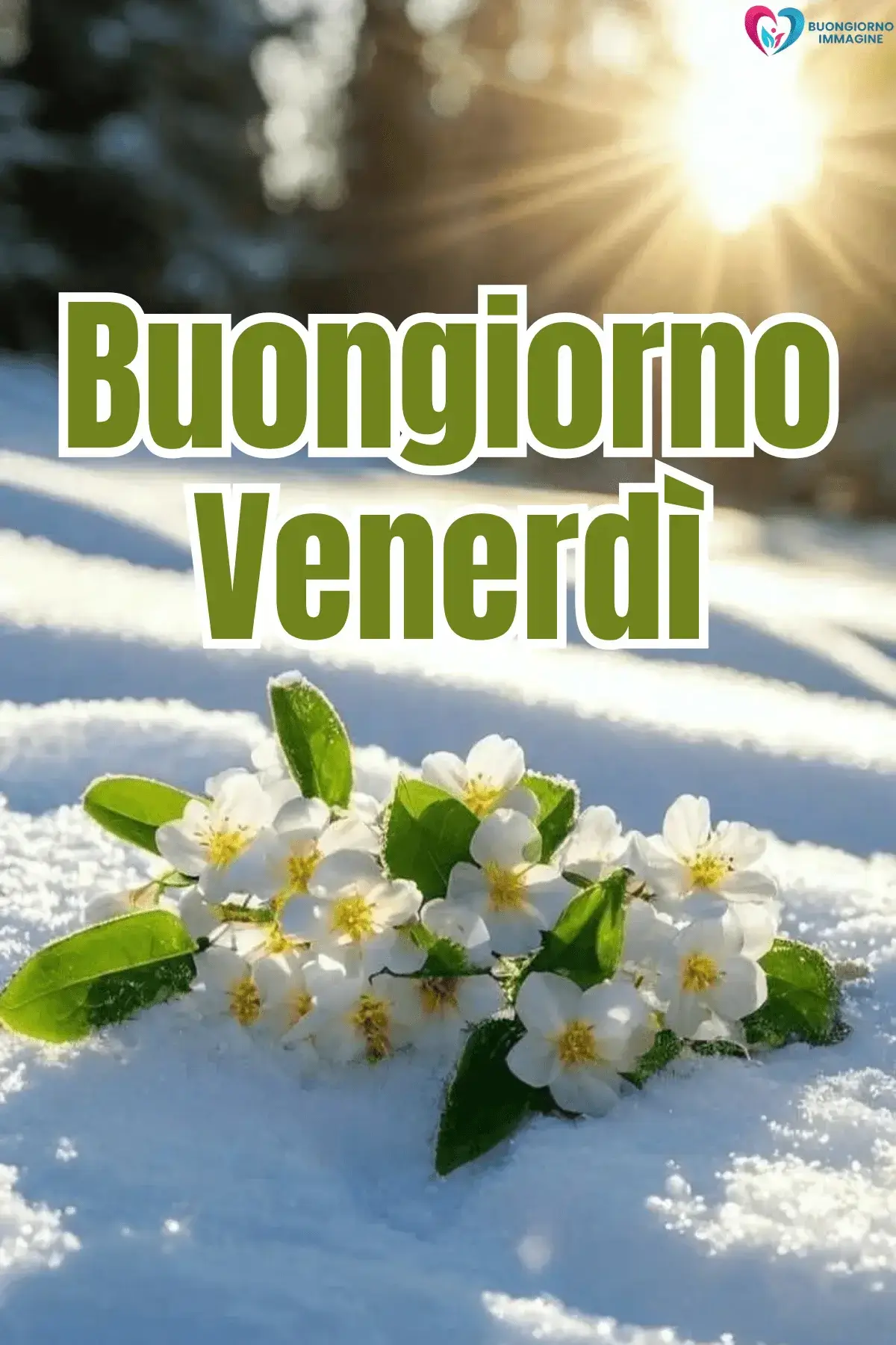 buongiorno venerdì immagini energia positiva