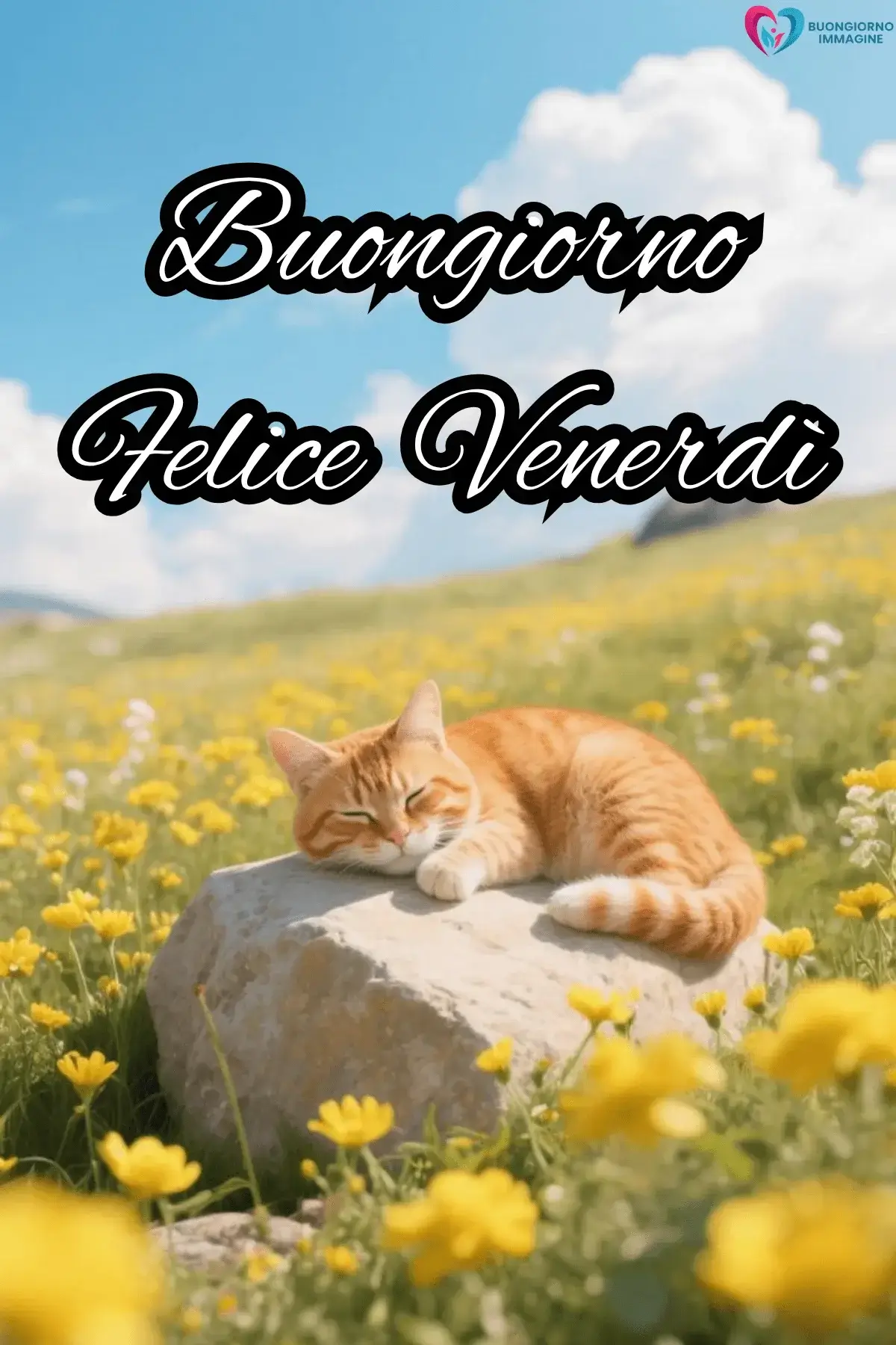buongiorno venerdì immagini energia weekend