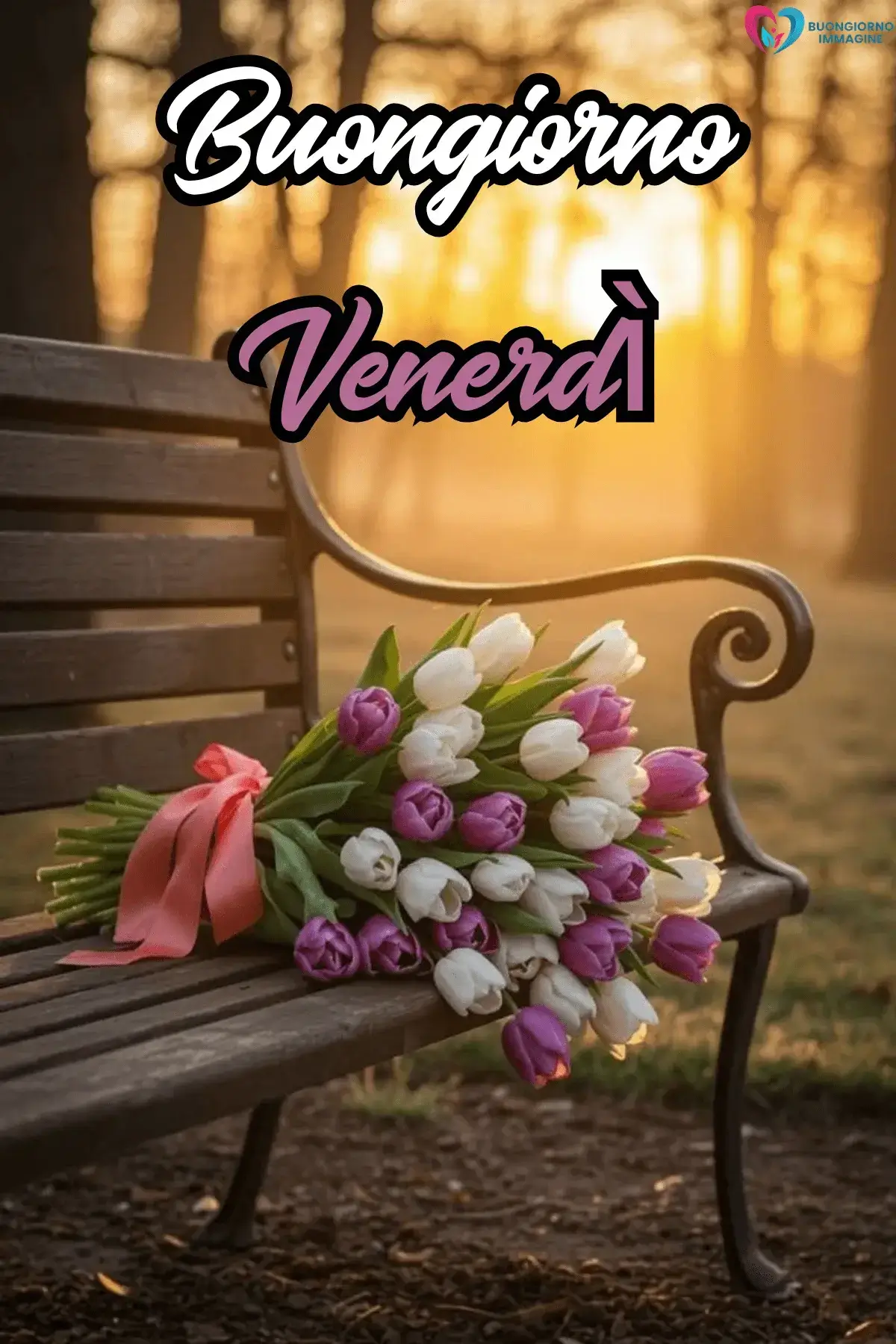 buongiorno venerdì immagini nuove da scaricare