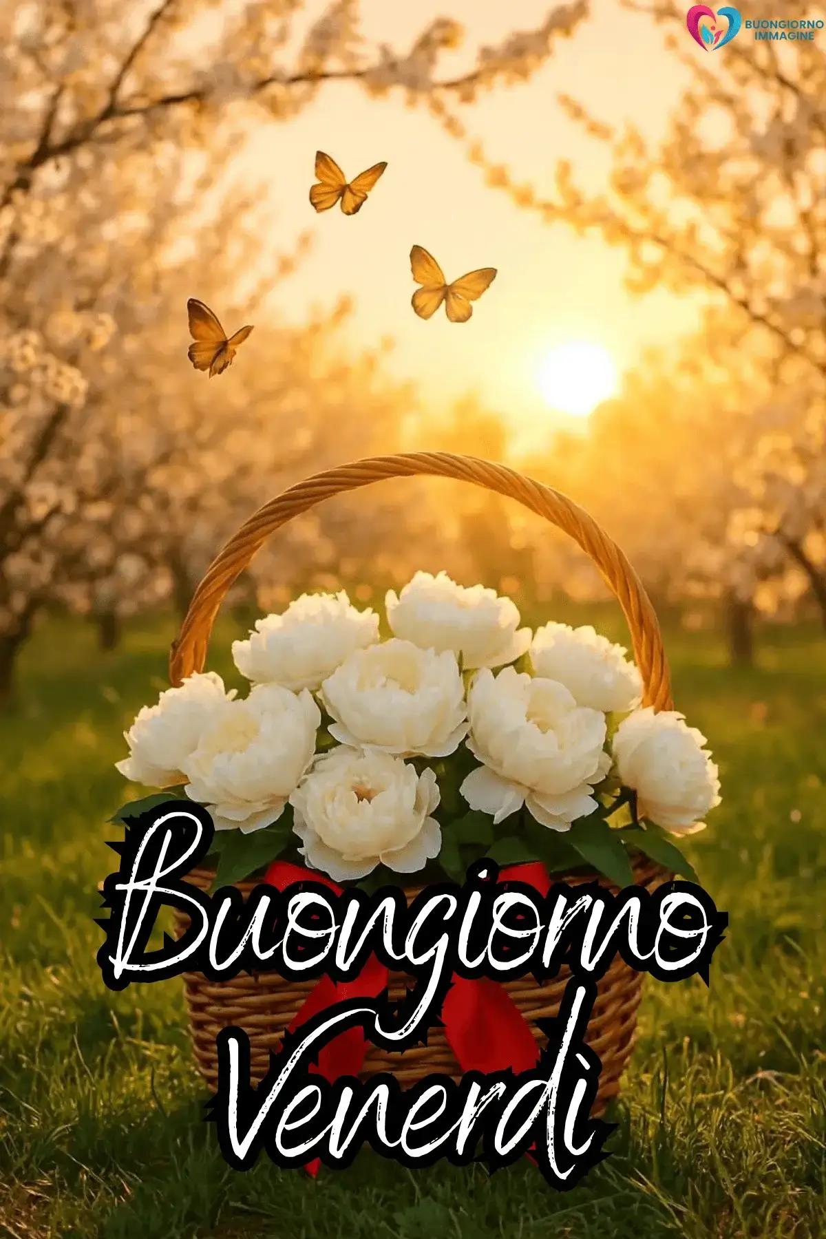 buongiorno venerdì immagini nuove e creative