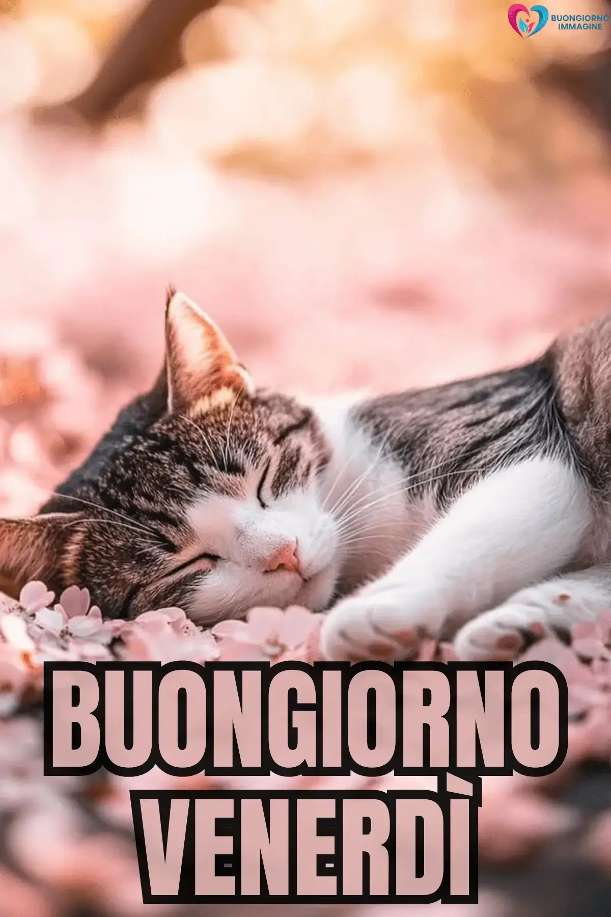 buongiorno venerdì immagini per buongiorno speciale