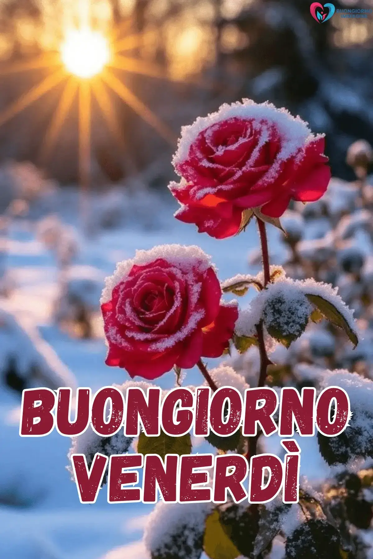 buongiorno venerdì immagini relax weekend