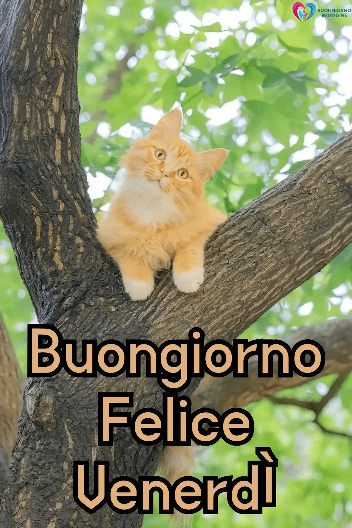 buongiorno venerdì immagini serene rilassanti