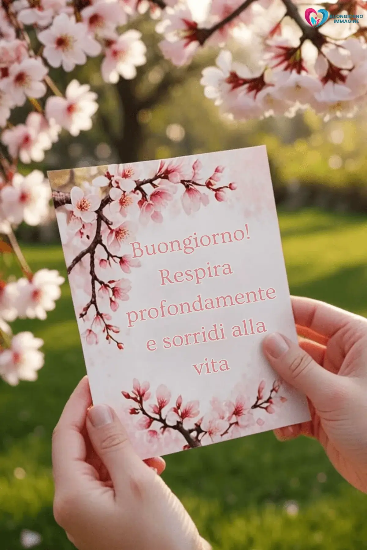 frasi buongiorno carine per gruppi whatsapp