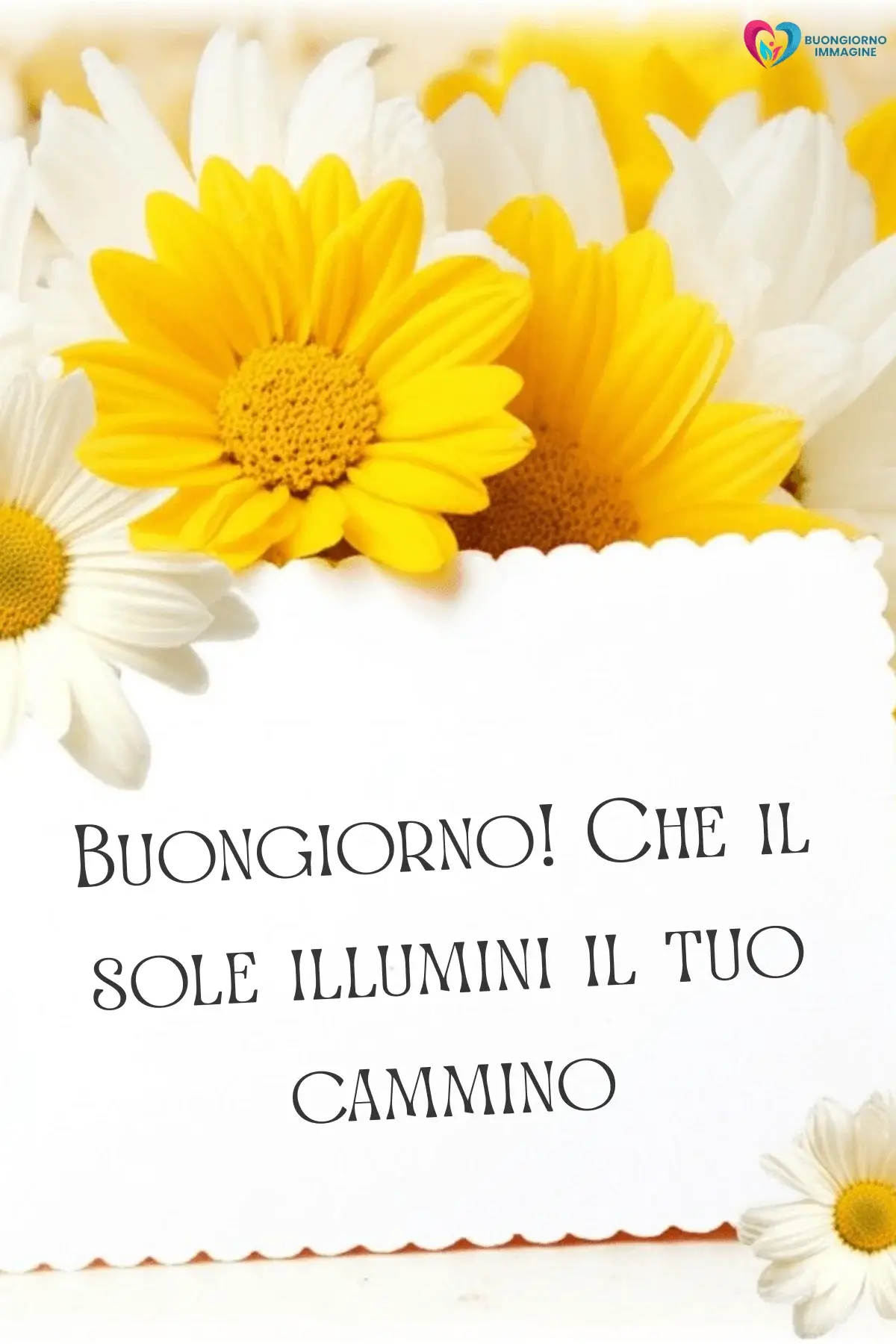 frasi buongiorno con pensieri positivi quotidiani