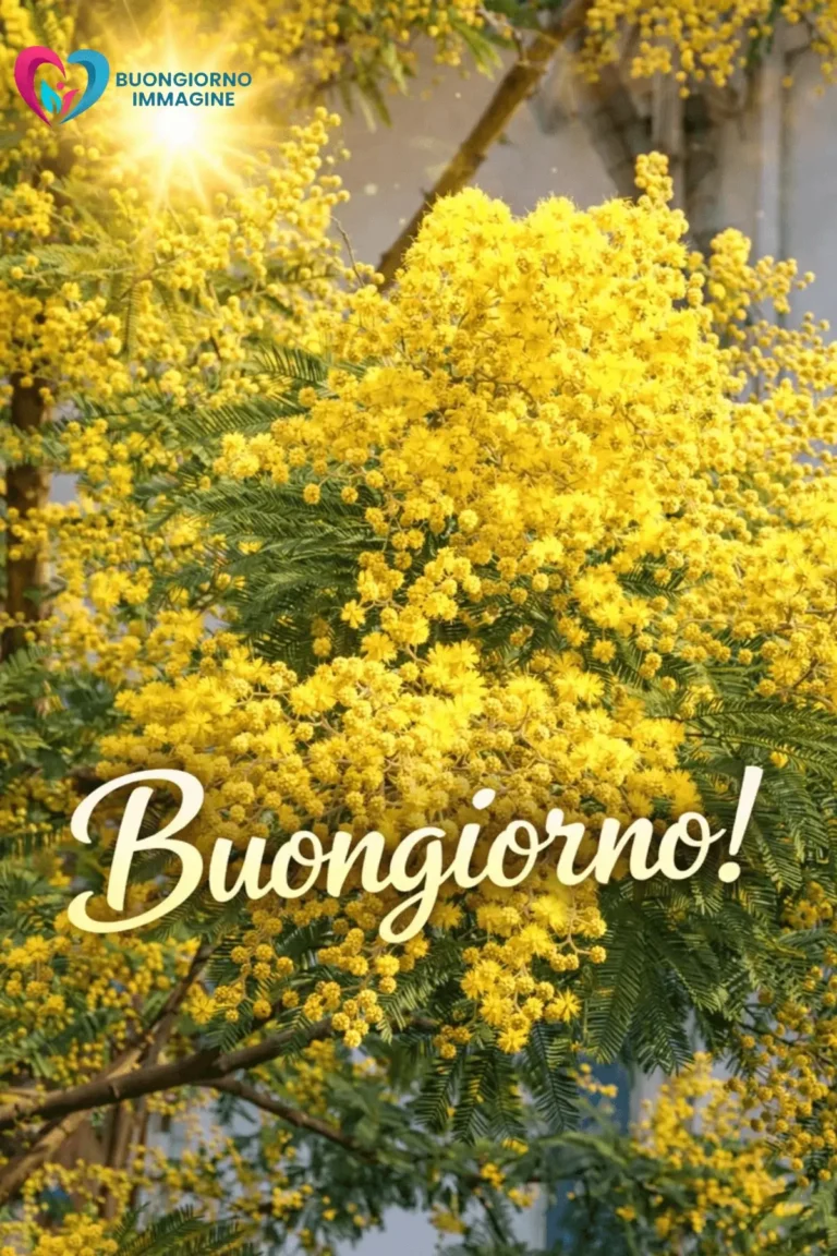 frasi e immagini buongiorno gratuite