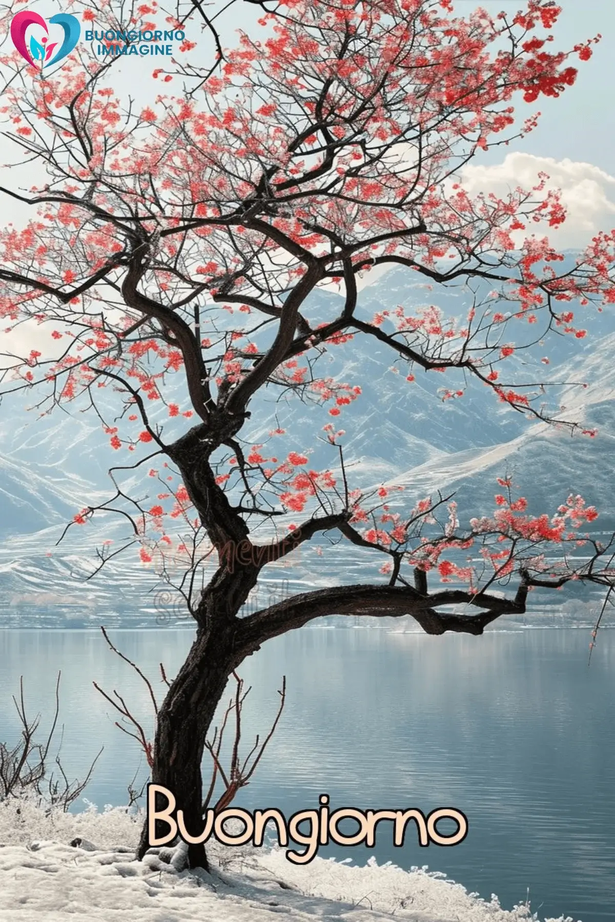 buongiorno bellissime whatsapp Albero con fiori rosa su lago di montagna buon gi
