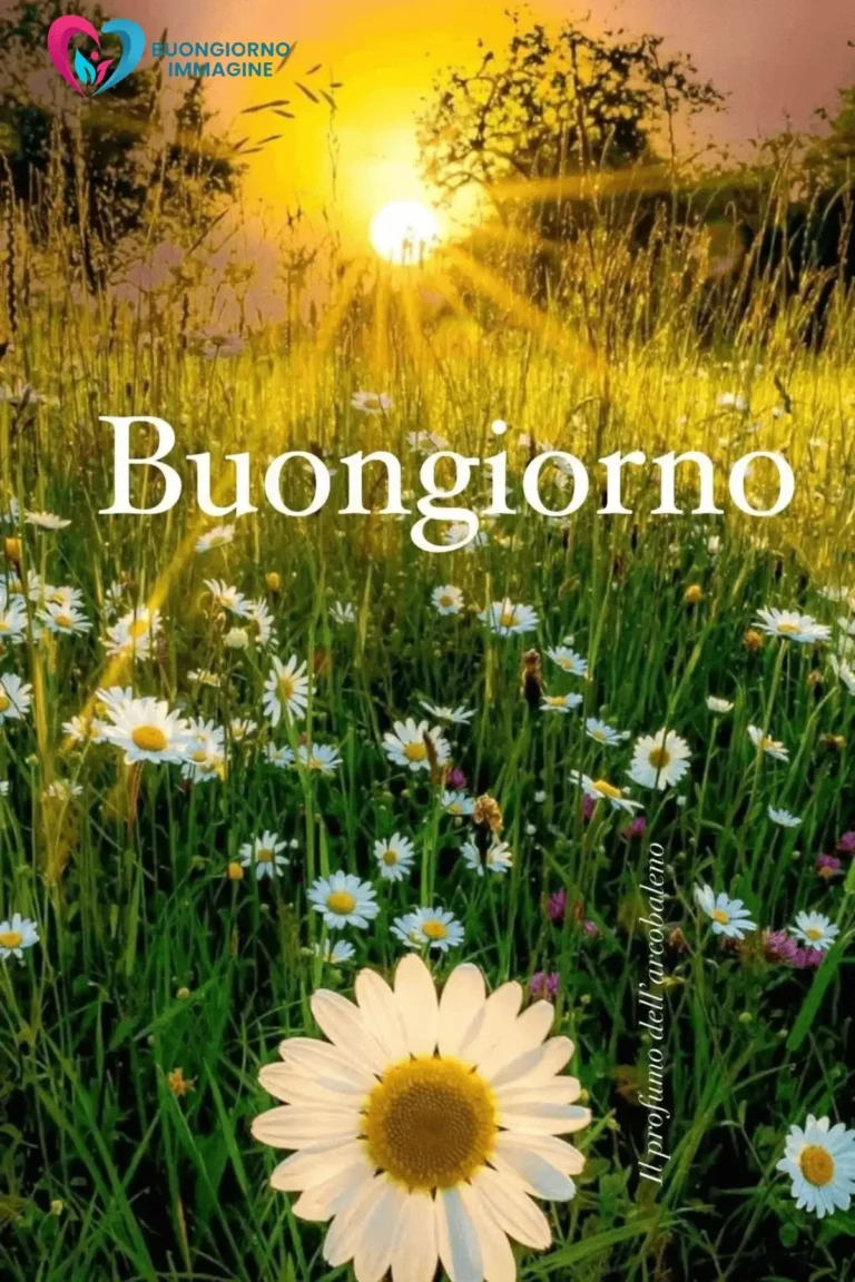 frasi motivazionali buongiorno per WhatsApp