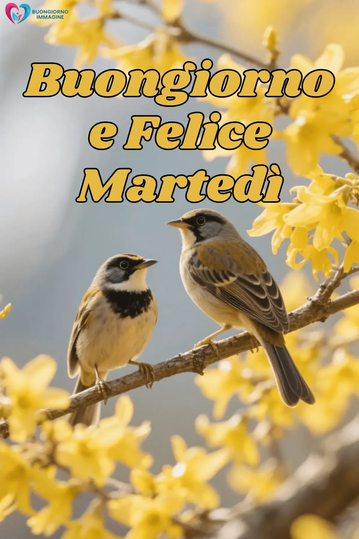 immagini buon martedì artistiche