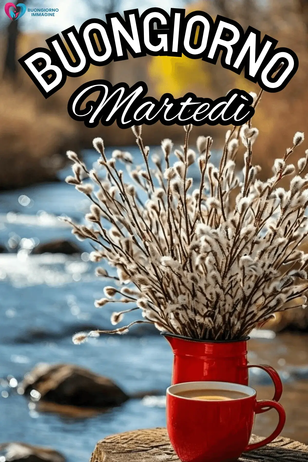 immagini buon martedì bellissime gratis