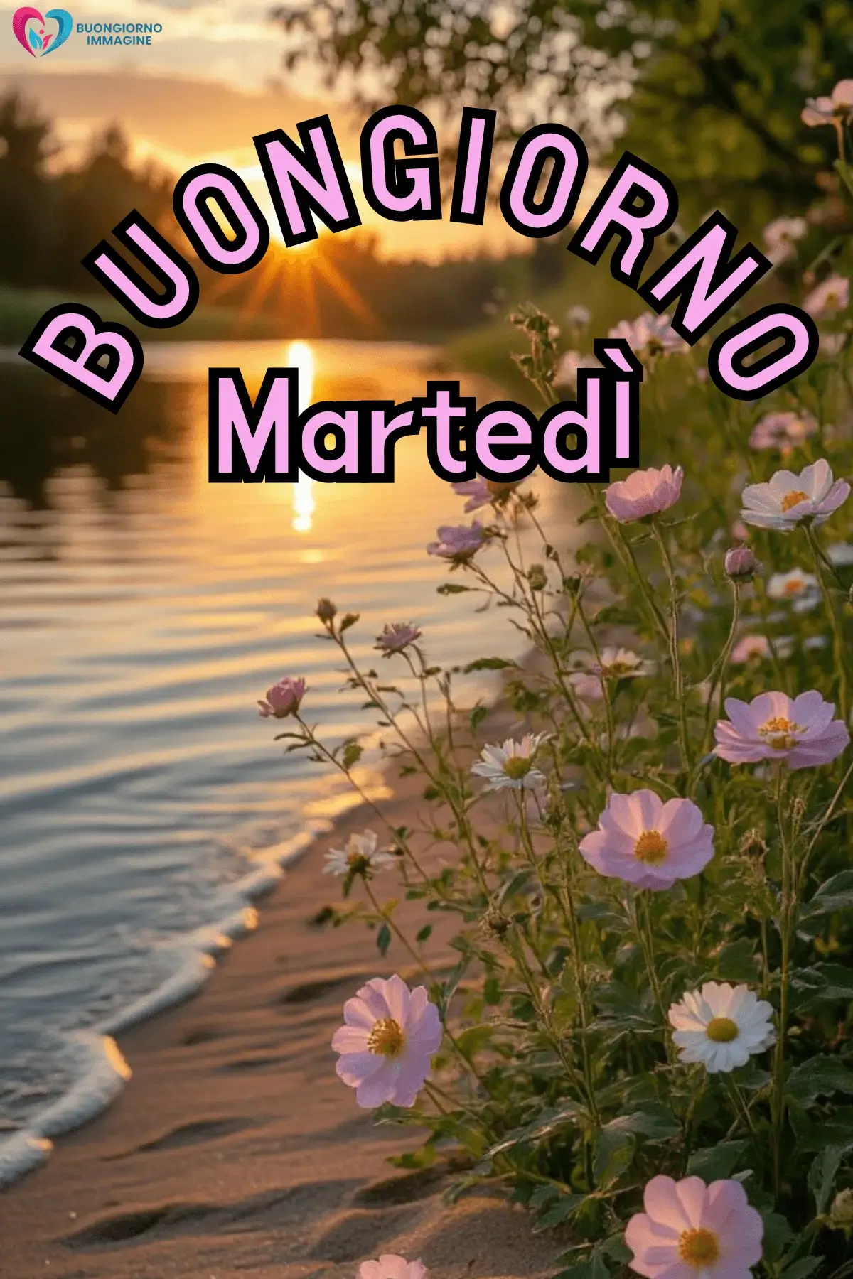 immagini buon martedì con citazioni belle