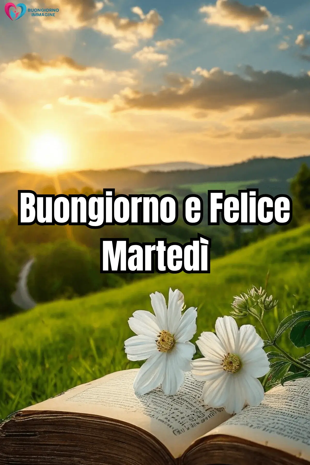 immagini buon martedì con frasi amore