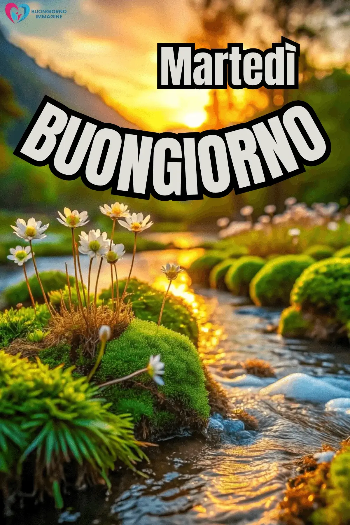 immagini buon martedì con frasi positive