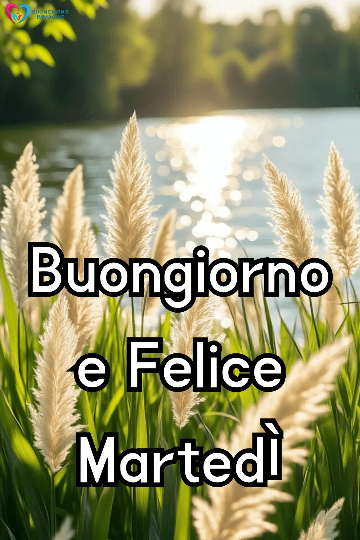 immagini buon martedì con parole gentili