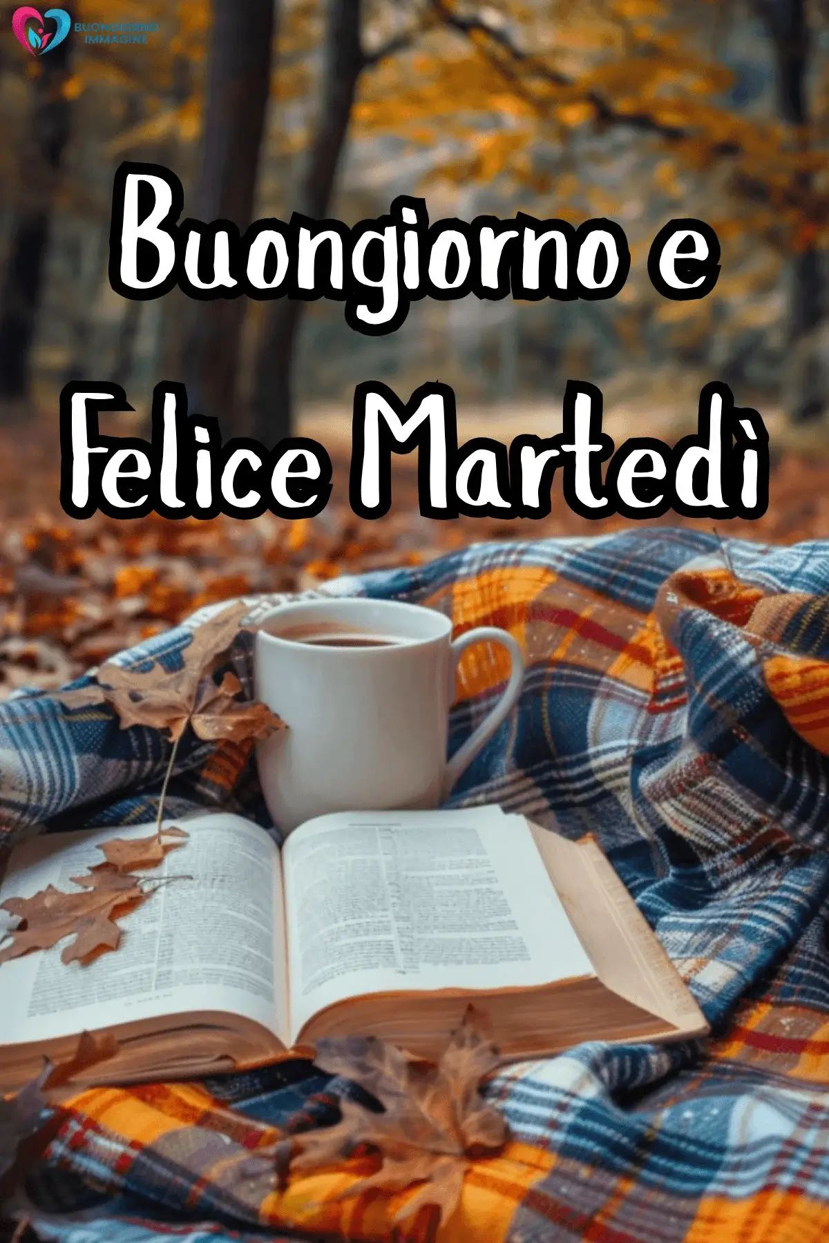 immagini buon martedì mattina presto